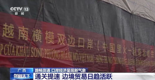 15秒通關(guān)！榴蓮快速入境折射口岸經(jīng)濟(jì)新活力，國內(nèi)貿(mào)易代理迎機(jī)遇